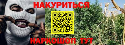 дмт Пенза