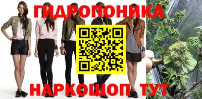 дмт Пенза