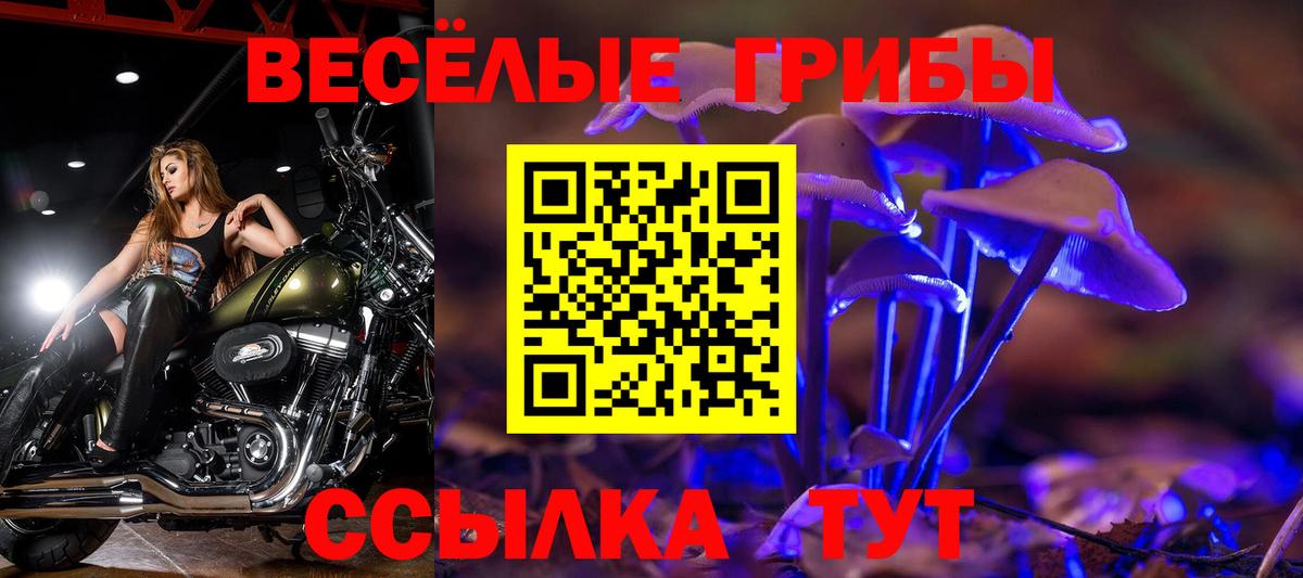 Галлюциногенные грибы ЛСД  Псилоцибиновые грибы Magic Shrooms  Тосно  Вход с VPN 