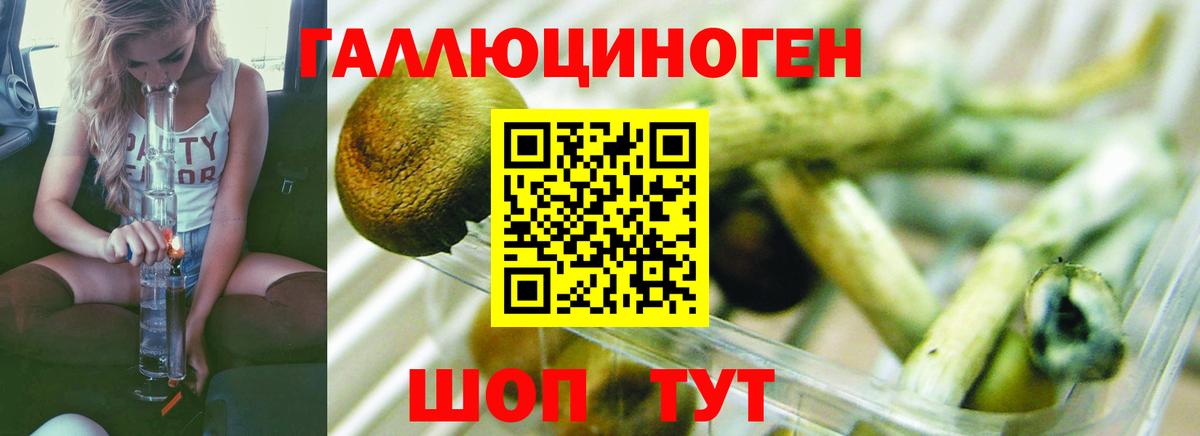 Псилоцибиновые грибы ЛСД Тосно